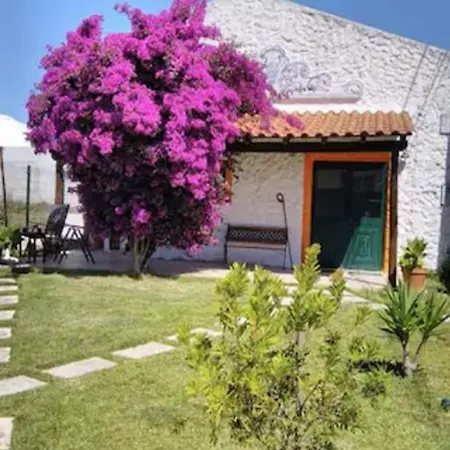 Casa Da Buganvilia Holiday home Reguengo Grande